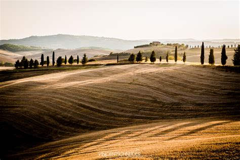 brandini toscane.